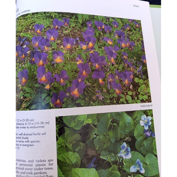 A–Z of Perennials – Reader's Digest Successful Gardening Series 1990, Hardcover - Picture 14 of 14